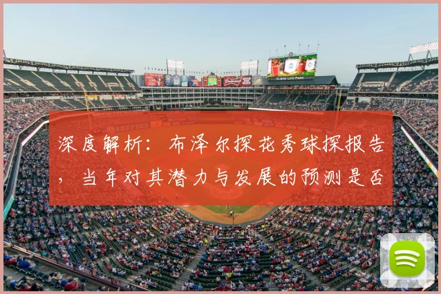 深度解析：布泽尔探花秀球探报告，当年对其潜力与发展的预测是否准确？