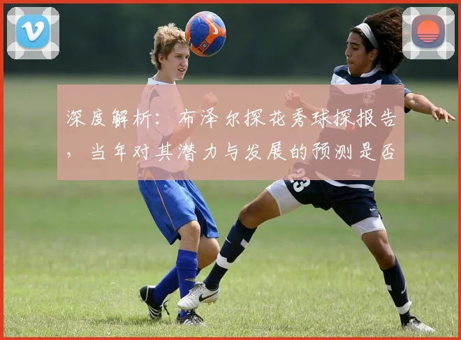 深度解析:布泽尔探花秀球探报告,当年对其潜力与发展的预测是否准确?